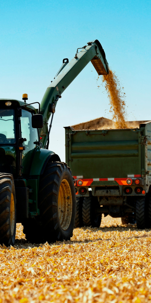 IM Trading Operations